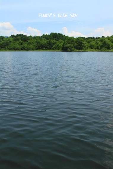 c0145250_11362346.jpg