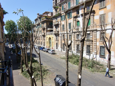 c0206352_6272168.jpg