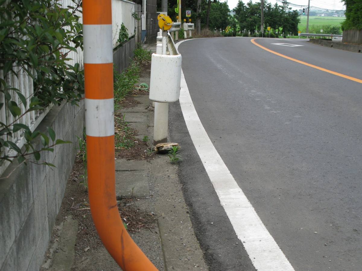 d0173255_221347.jpg