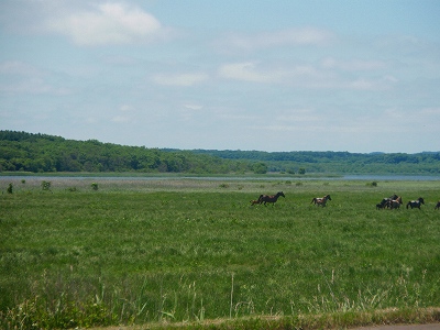 e0004756_20465097.jpg