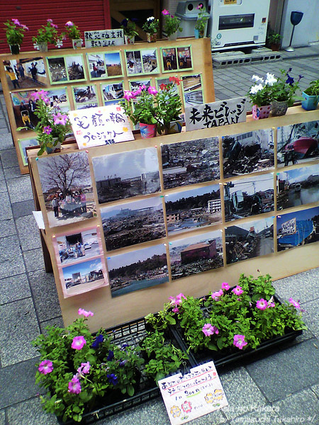 d0080957_22594799.jpg