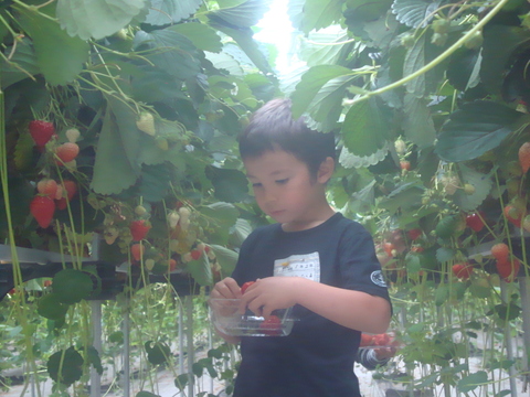 c0059063_533925.jpg
