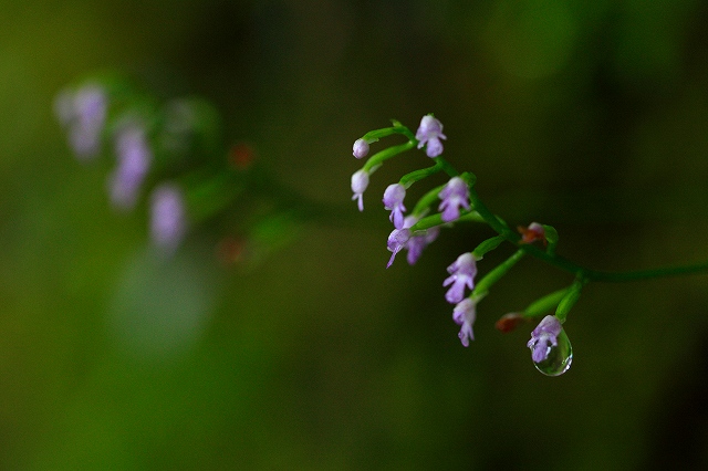 d0128465_1219754.jpg