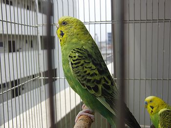f0196665_23572626.jpg