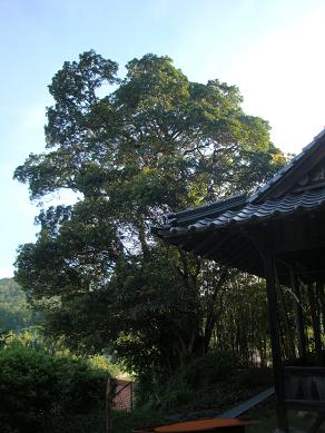 e0175370_11155741.jpg