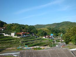e0175370_1115694.jpg