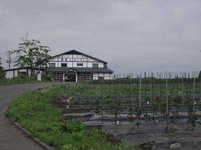 d0129083_19124023.jpg