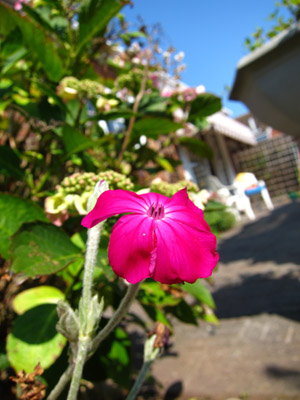 b0228988_1361251.jpg