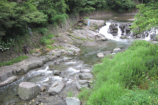 b0169489_1533964.jpg