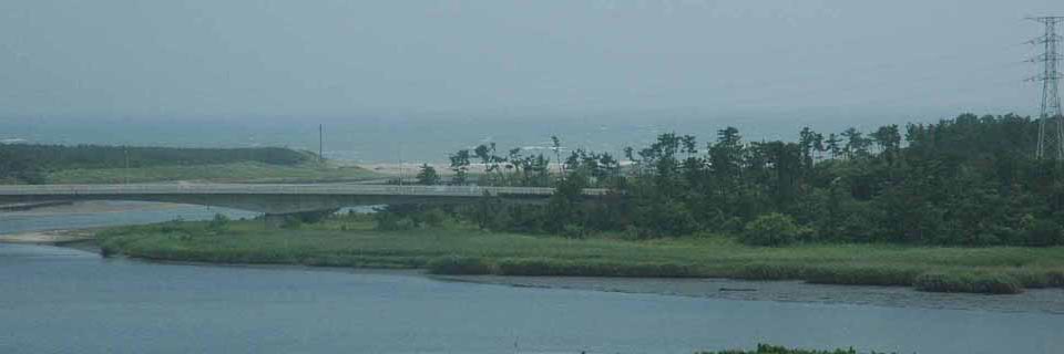 c0170789_2122471.jpg