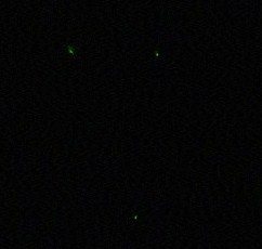 d0212491_2381214.jpg