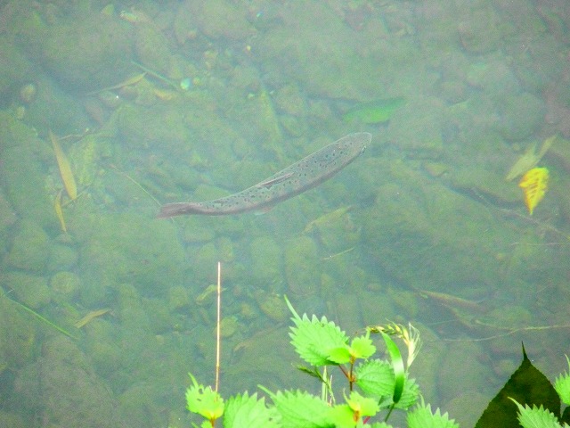 e0202393_0284864.jpg
