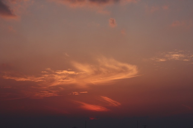 c0193396_1403525.jpg