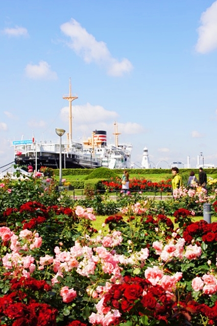 b0145398_1643478.jpg