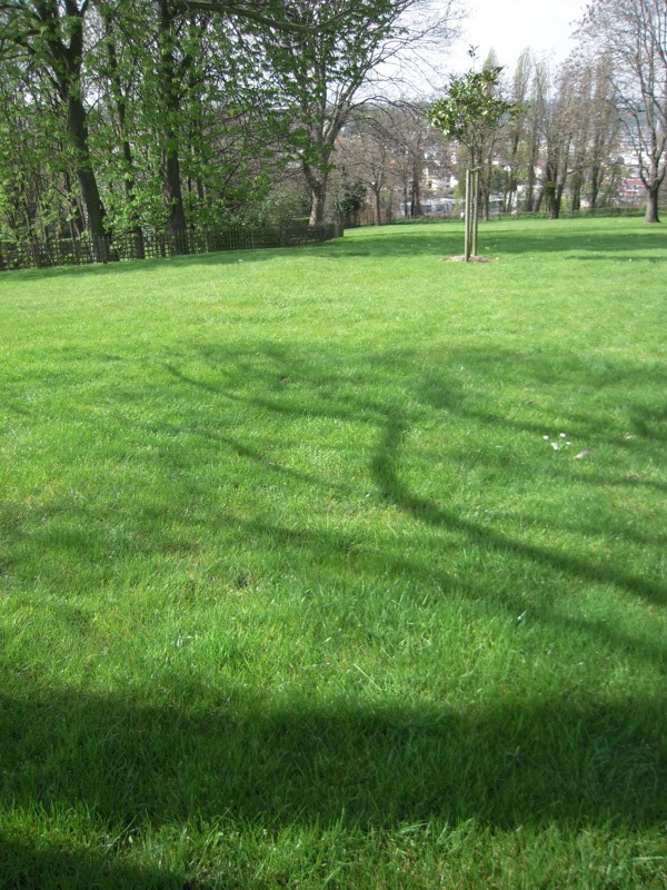 a0060003_5242883.jpg