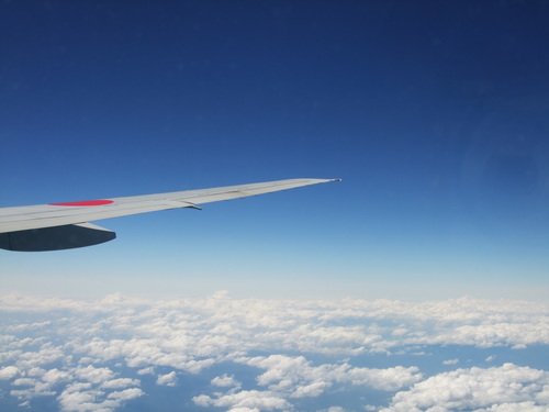 a0099804_1120284.jpg