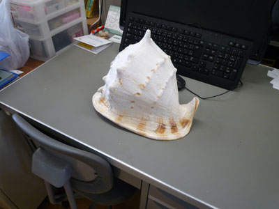 f0048405_18254020.jpg