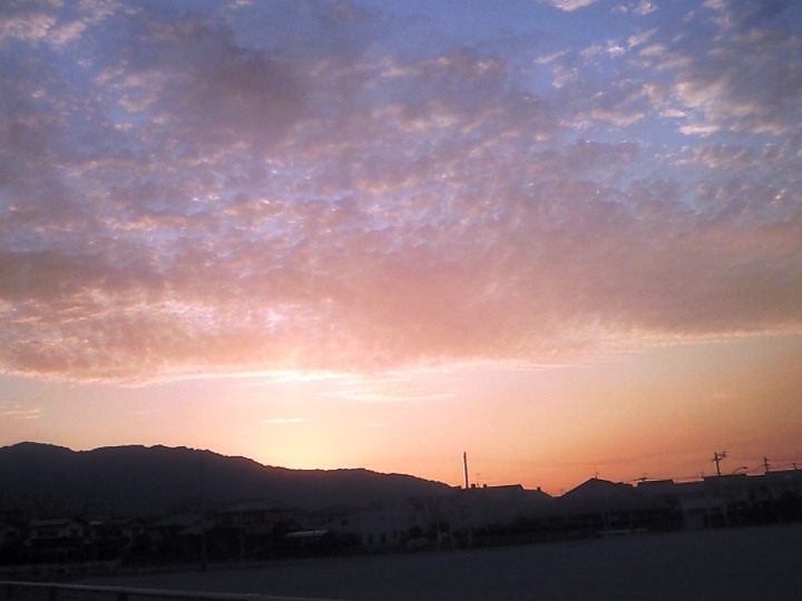 a0097006_2053671.jpg