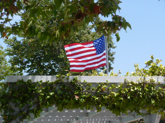 a0144811_23233768.jpg