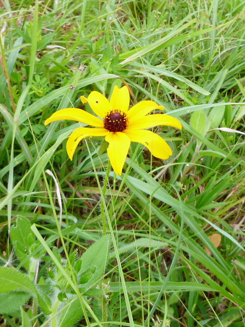 d0170615_14113787.jpg
