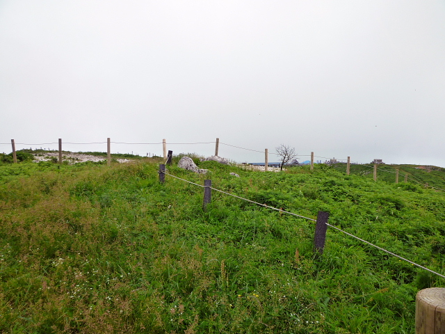 d0170615_14132723.jpg