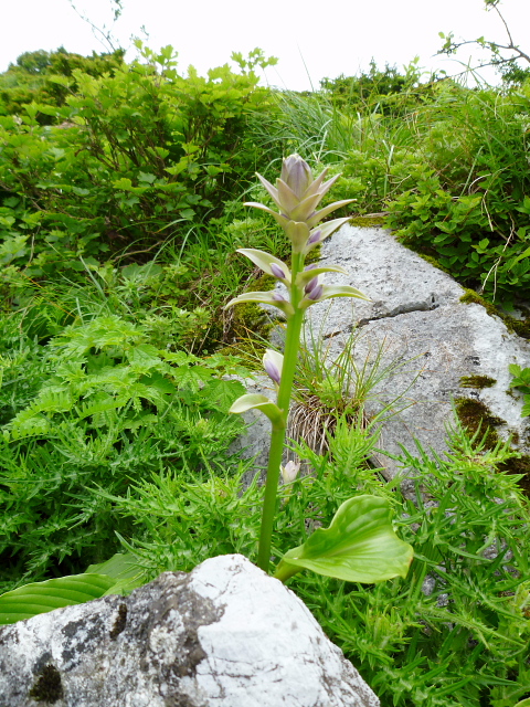d0170615_14145349.jpg