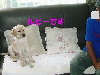 f0192117_20392955.jpg