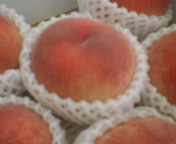 e0011321_18363947.jpg