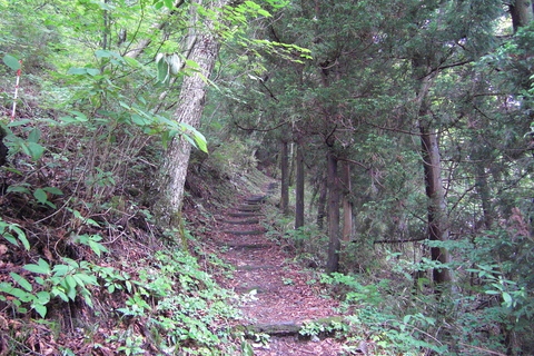f0056321_1124860.jpg