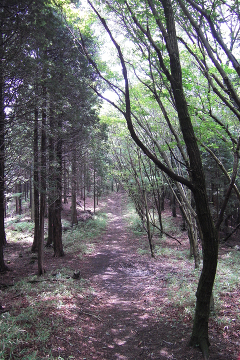 f0056321_1145290.jpg
