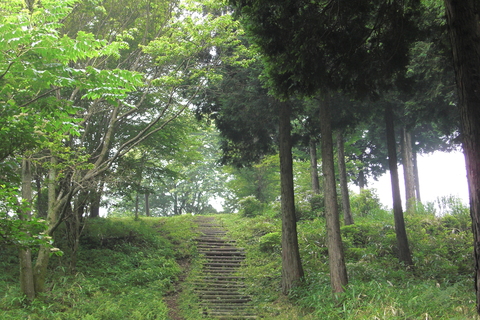 f0056321_115358.jpg