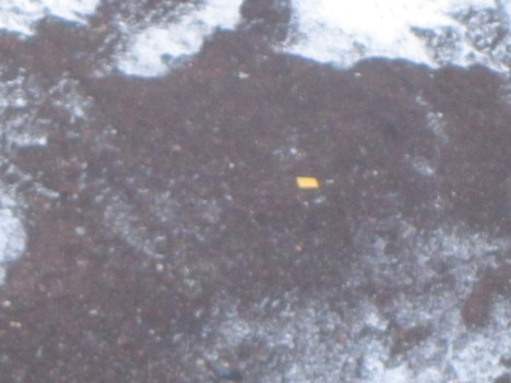 d0156625_3225572.jpg
