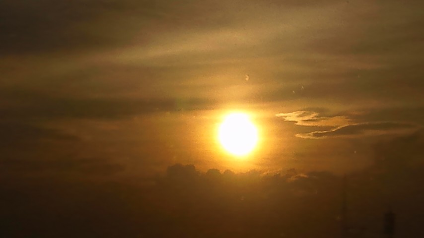 a0176736_16465352.jpg
