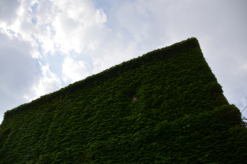 d0156438_2019284.jpg