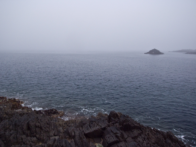 f0009238_20382869.jpg