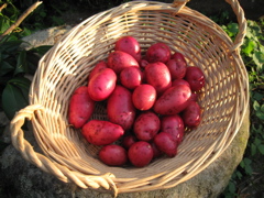 f0013738_19355890.jpg