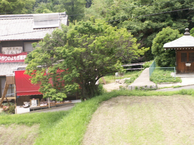 b0139239_19342526.jpg