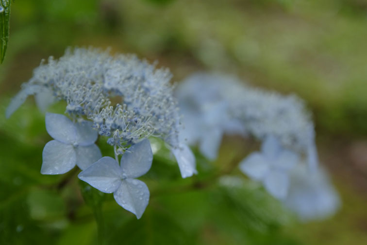 b0075541_9144474.jpg