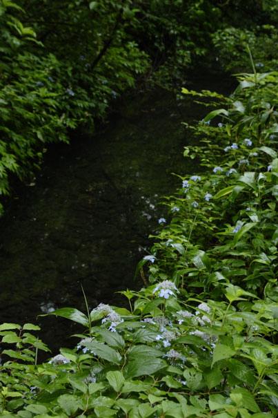 b0075541_9175774.jpg