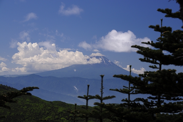b0122448_20331489.jpg