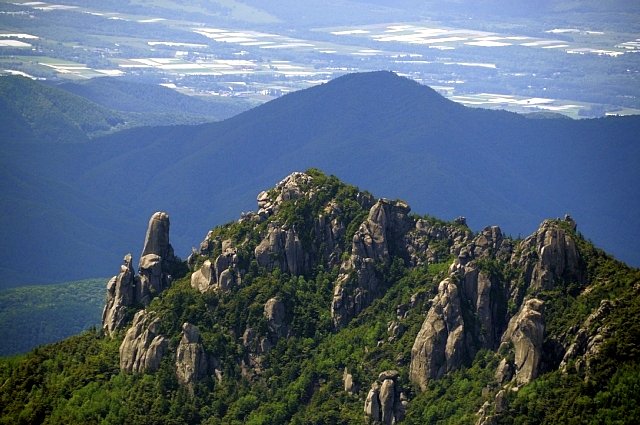 b0122448_20565770.jpg