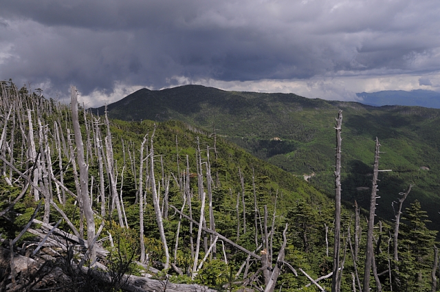 b0122448_2145660.jpg