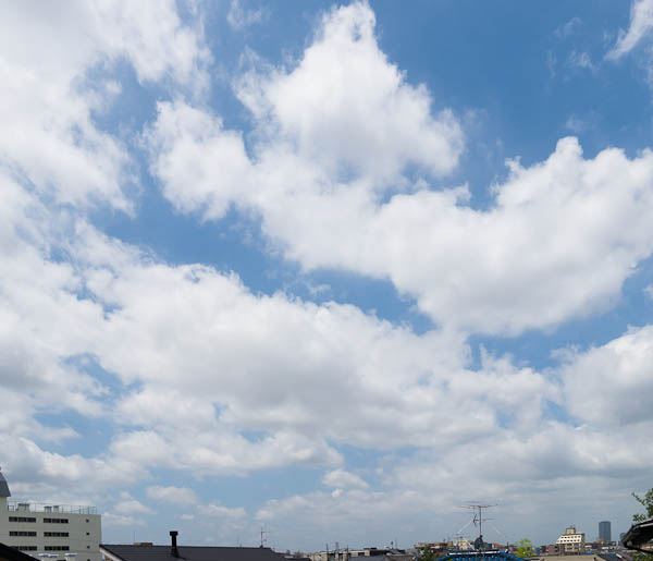 b0229648_1293246.jpg