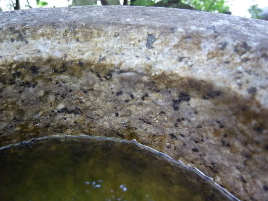e0126548_849851.jpg