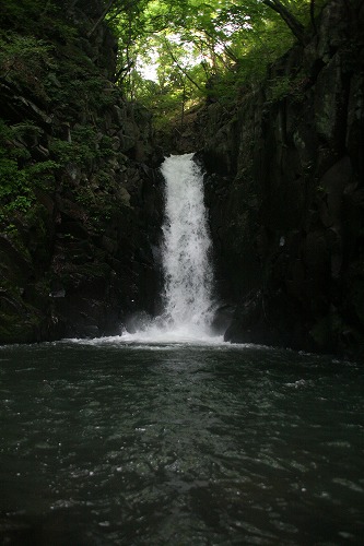 a0109450_063813.jpg