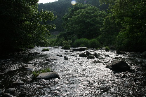 a0109450_071928.jpg
