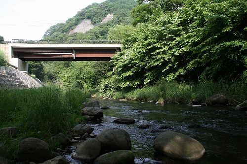 a0109450_0749.jpg