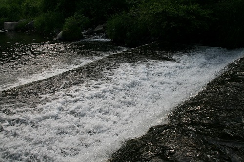 a0109450_08308.jpg