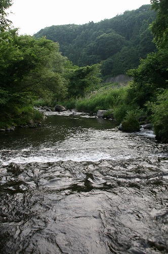 a0109450_091489.jpg
