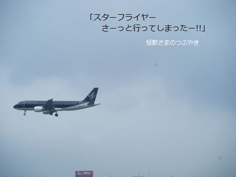 a0090451_13174044.jpg